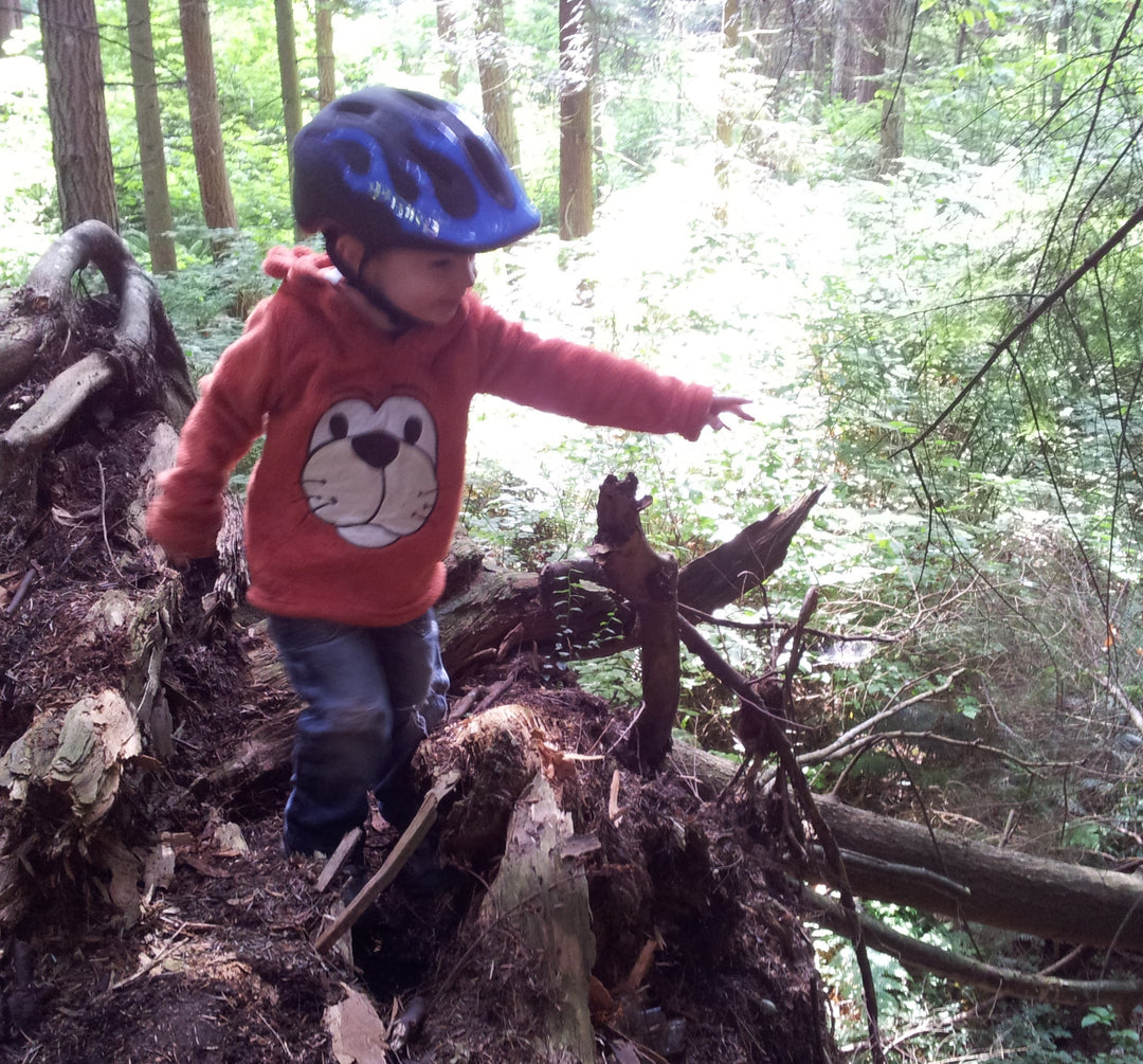 ARE SKY RIDE AND MAC RIDE COMPATIBLE WITH YOUR BIKE?